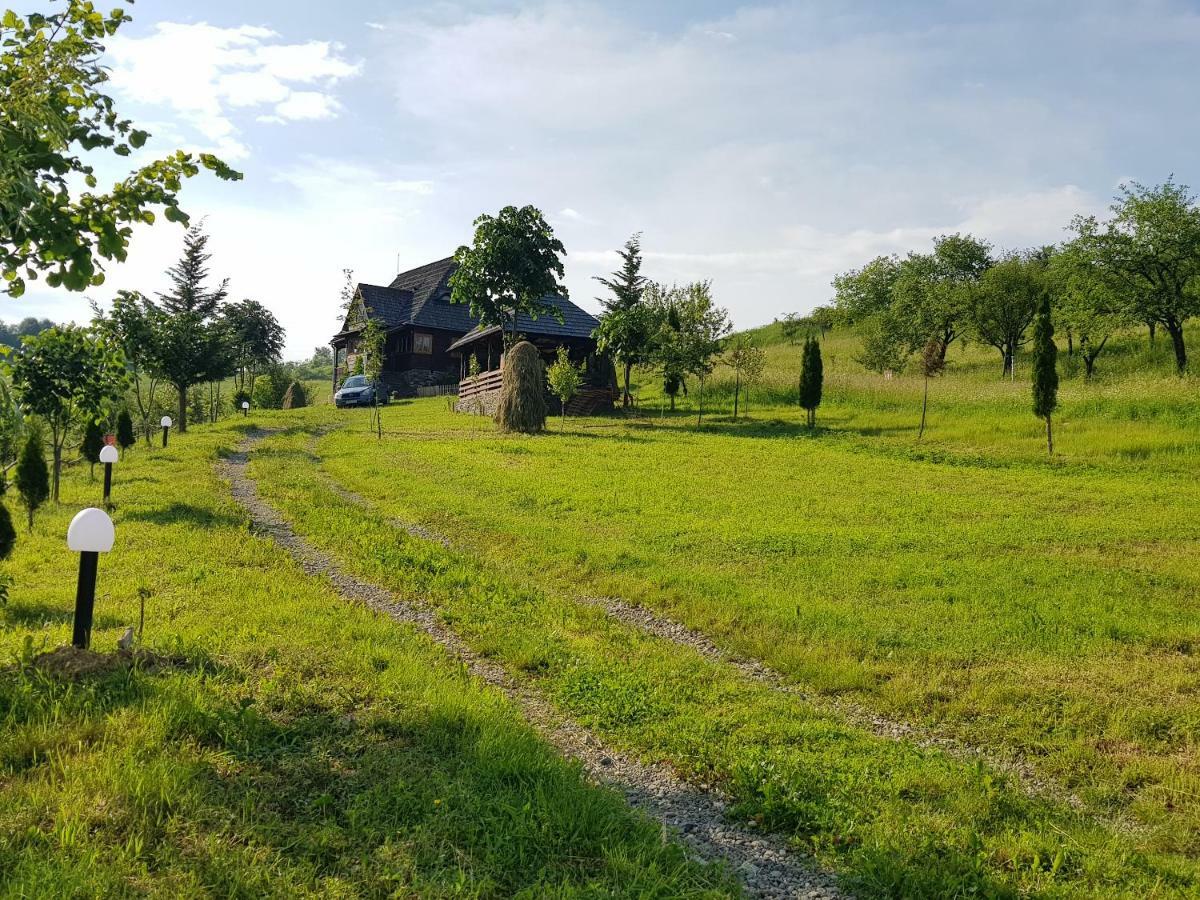 Ninga Rai Villa Poienile Izei Exterior foto